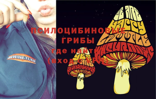 трава Баксан