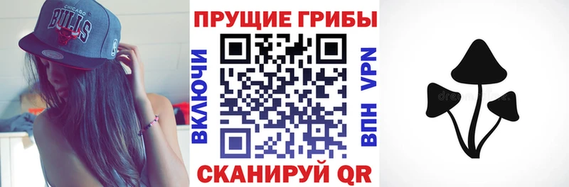 Псилоцибиновые грибы Cubensis сколько стоит Гагарин